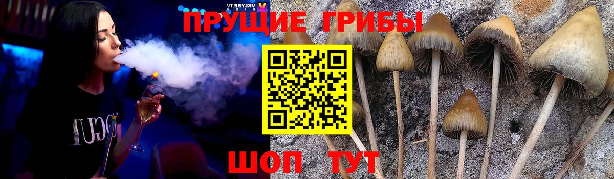 Галлюциногенные грибы Cubensis  Вход с VPN  Кандалакша 
